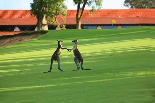 GOLFSelect Golf Travel - Australia