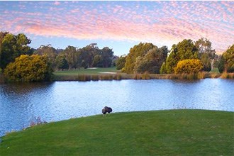 Country Club Tasmania Prospect Vale Tas Country Club Tasmania Prospect Vale Tas
