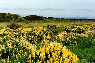 St Andrews Links - Jubilee Course