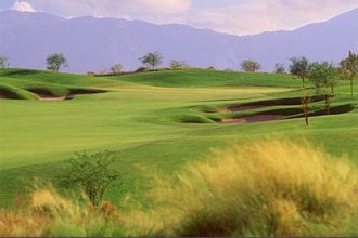 Whirlwind Golf Club - The Cattail