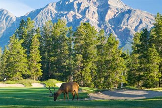 Jasper Park Lodge Golf Club