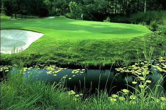 The Grand Golf Club