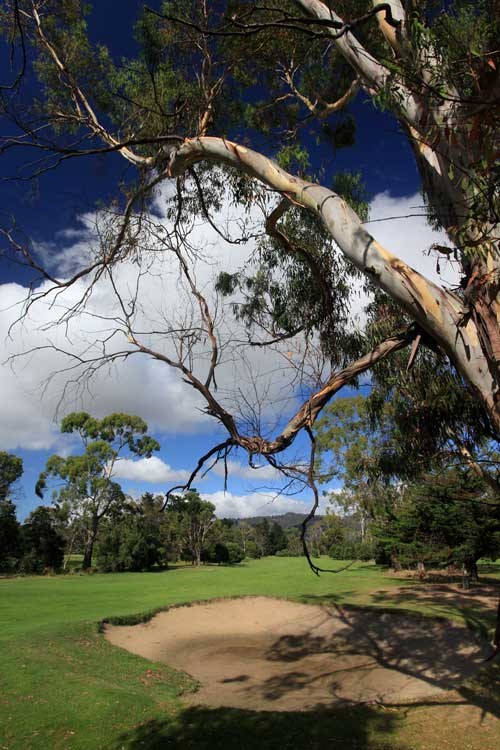 Royal Hobart Golf Club Hole 6
