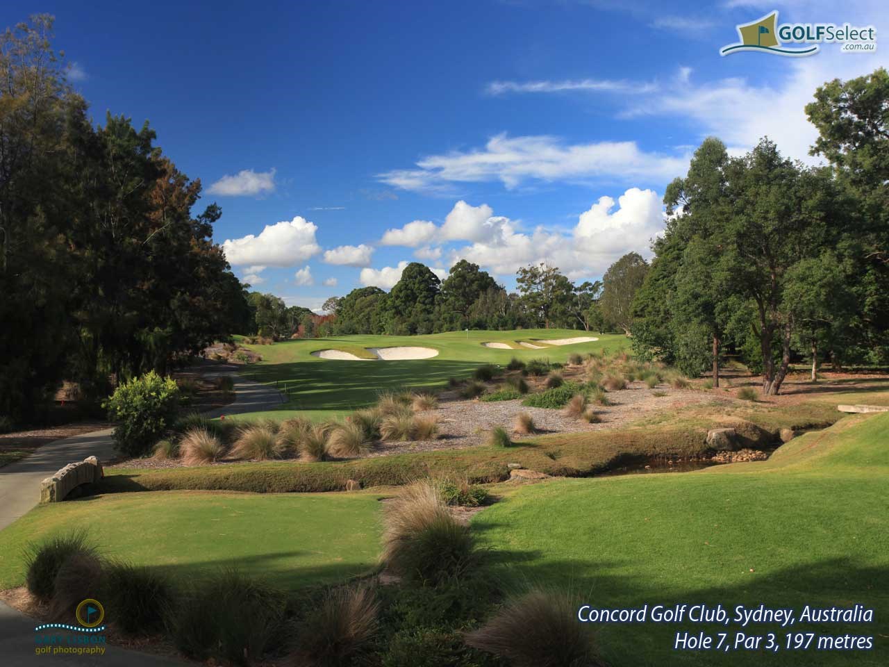 Concord Golf Club Hole 7, Par 3, 197 metres